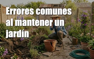 Errores comunes al mantener un jardín